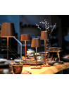 Lampe de table POLDINA PRO - Zafferano